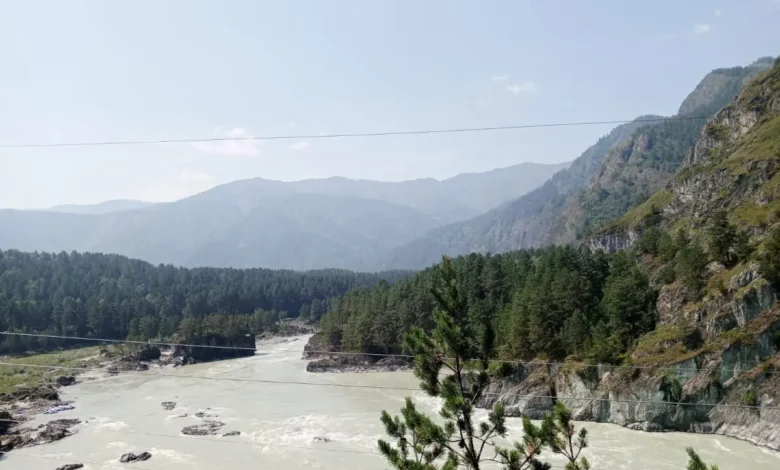 Eğitimci Hayat Aras: Altay’dan Anadolu’ya bitikler 4