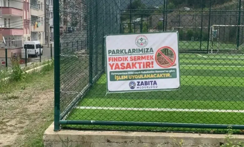 Fındık üretim sezonuna başlayacak üreticiler uyarıldı