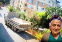 İncir toplayan kadın kamyonun altında kaldı