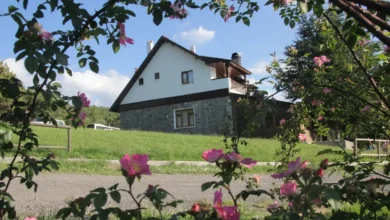 Karagöl Mesire Alanı'nda piknik ve kamp kurallarına yeni düzenleme