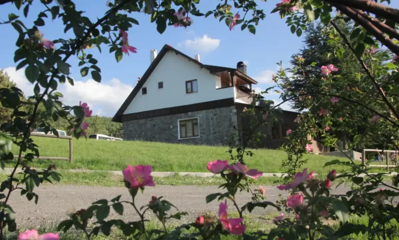 Karagöl Mesire Alanı'nda piknik ve kamp kurallarına yeni düzenleme