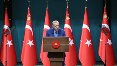 Cumhurbaşkanı Erdoğan: Milletin hakkına el uzatan karşısında bizi bulur