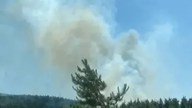 Kastamonu’da ahşap evde başlayan yangın 7 eve sıçradı
