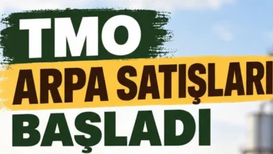 Ziraat Odası Başkanı Ateş: “TMO Arpa satışlarını sürdürüyor.”