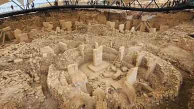 Göbeklitepe insanlık tarihine ışık tutuyor